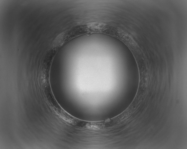 X0000084570706200702231259