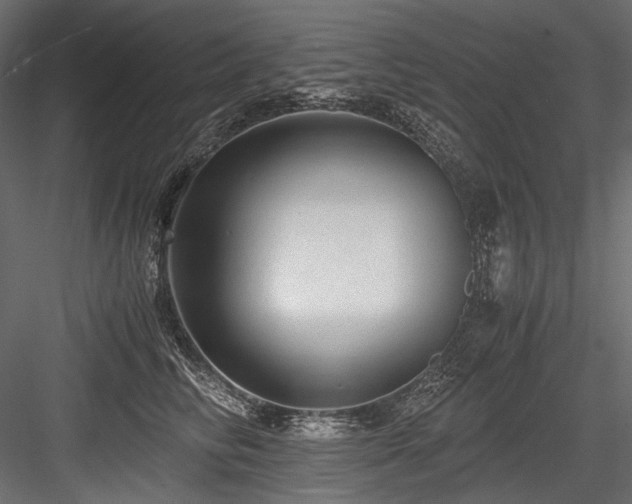 X0000084570710200702231259