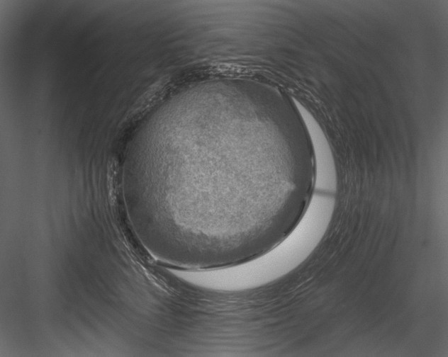 X0000084570712200702231259