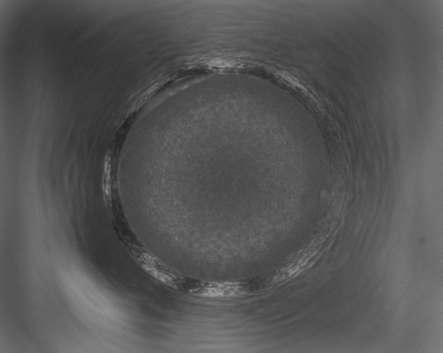 X0000084570720200702231259