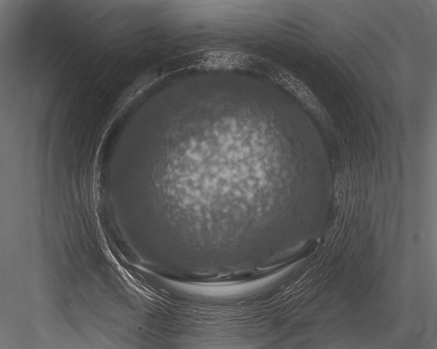 X0000084570722200702231258