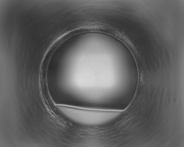 X0000084570724200702231258
