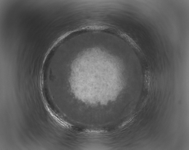 X0000084570726200702231258