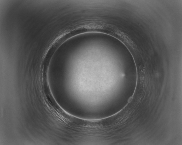 X0000084570727200702231258