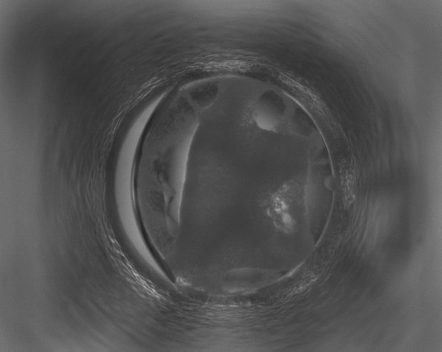 X0000084570729200702231258