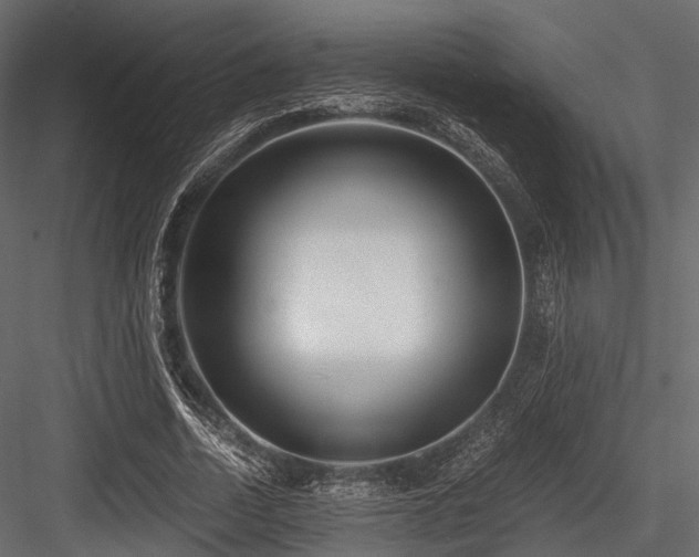 X0000084570730200702231258