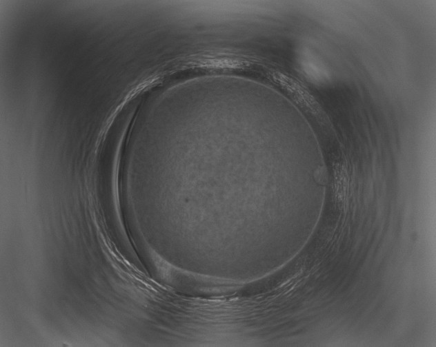 X0000084570731200702231258