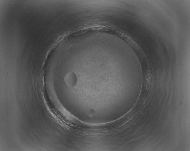 X0000084570734200702231258