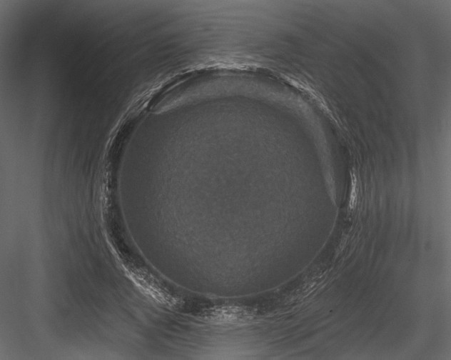 X0000084570736200702231258