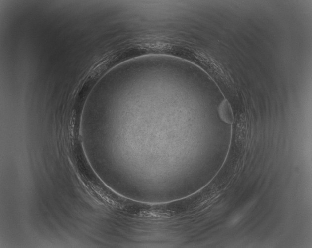 X0000084570739200702231258