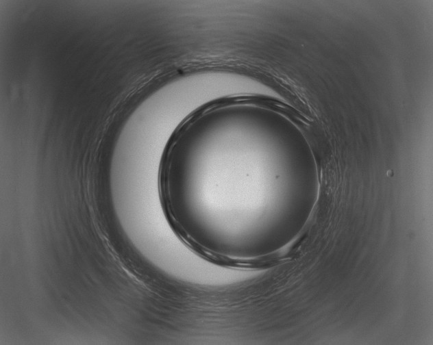 X0000084570740200702231258