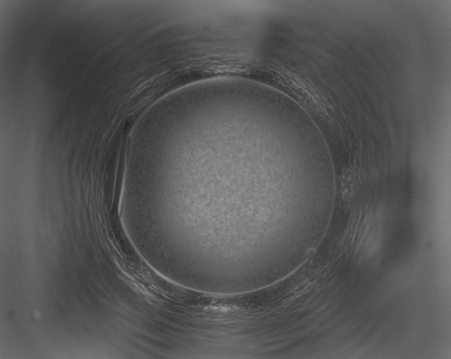 X0000084570741200702231258