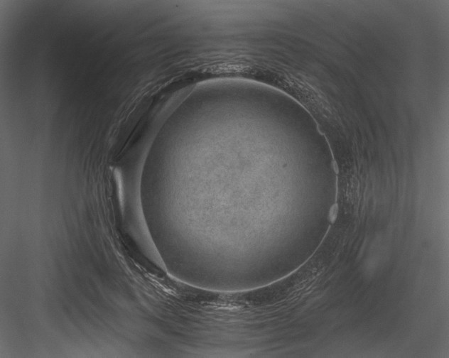 X0000084570743200702231258
