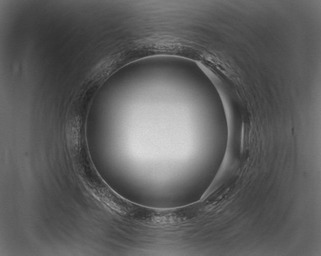 X0000084570744200702231258