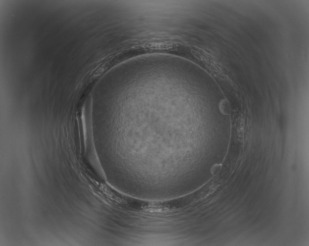 X0000084570746200702231258