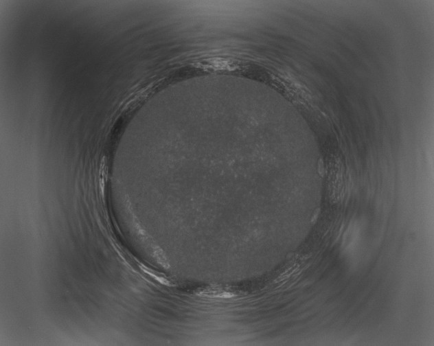 X0000084570747200702231258