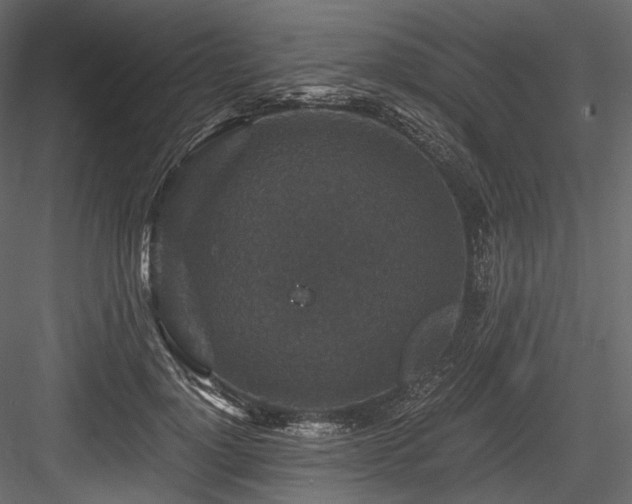 X0000084570748200702231258