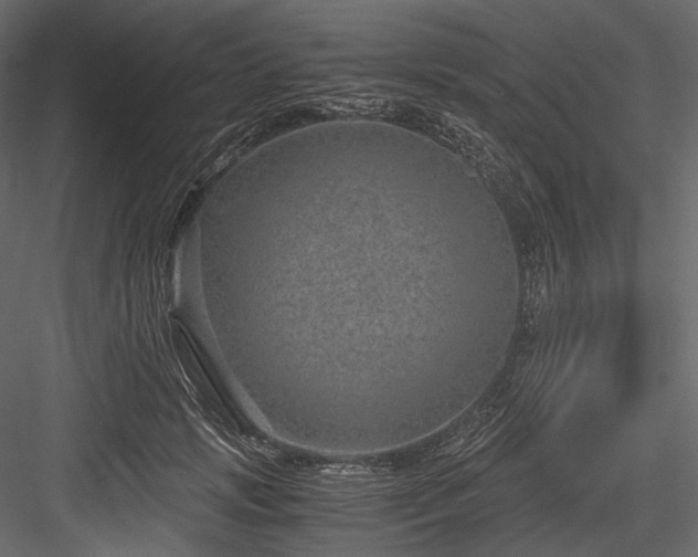 X0000084570749200702231258