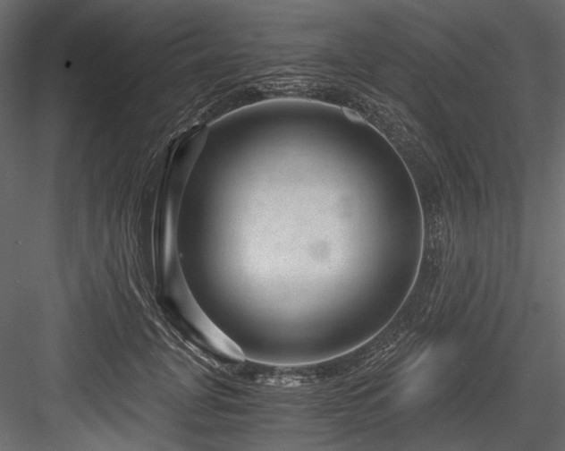 X0000084570751200702231259