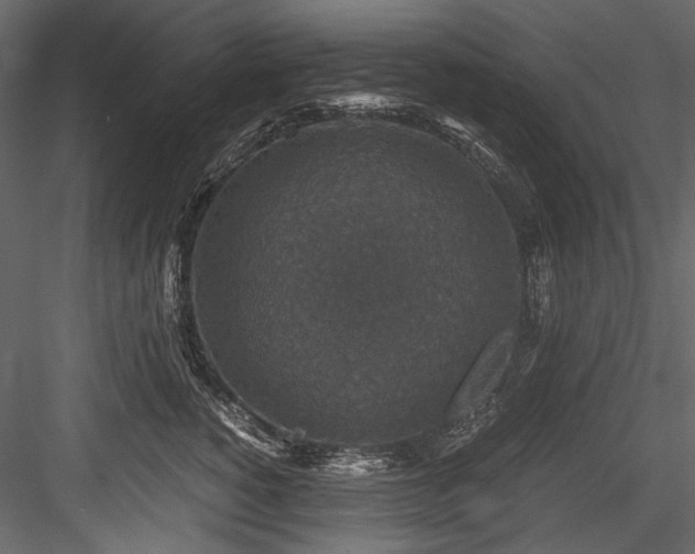 X0000084570760200702231259