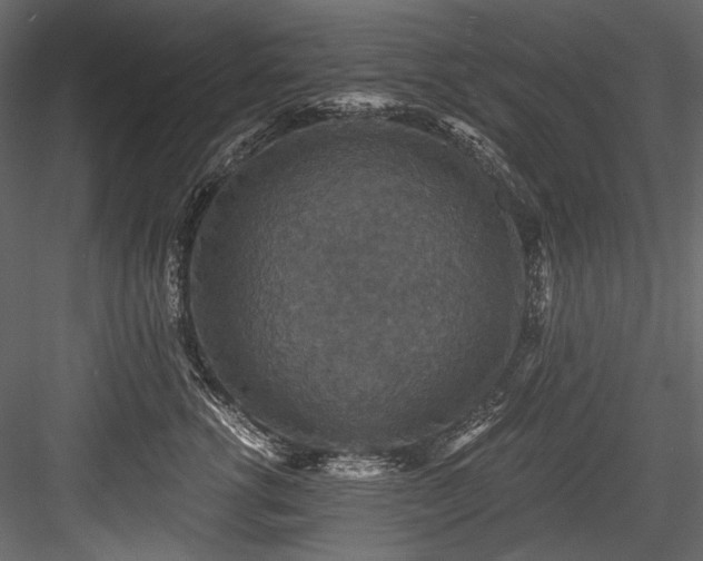 X0000084570762200702231259