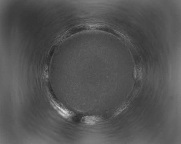 X0000084570766200702231259