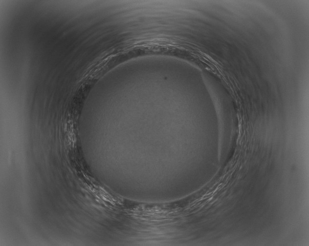 X0000084570774200702231258
