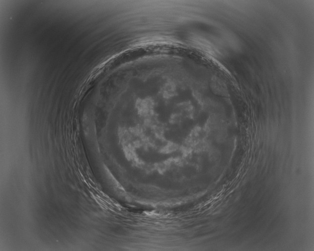 X0000084570775200702231258