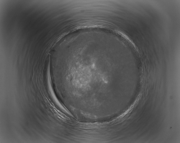 X0000084570777200702231258