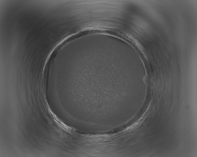 X0000084570779200702231258