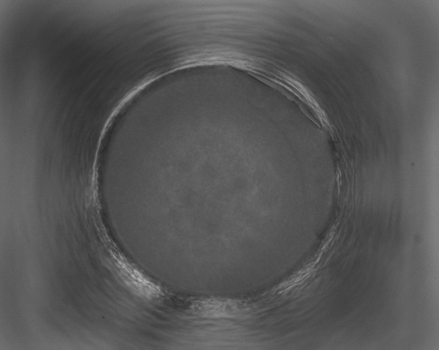 X0000084570780200702231258