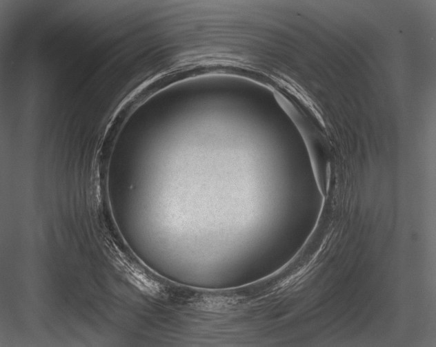 X0000084570782200702231258