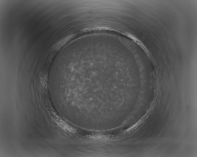 X0000084570785200702231258