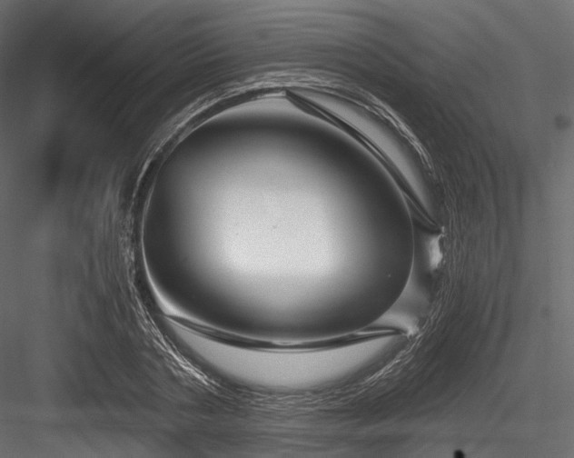X0000084570786200702231258