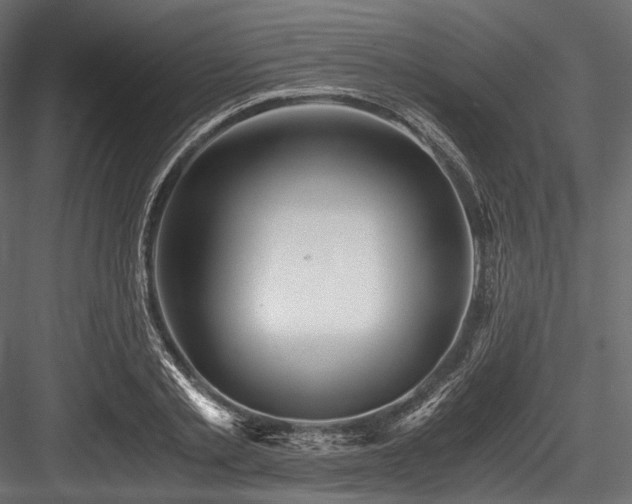 X0000084570789200702231258