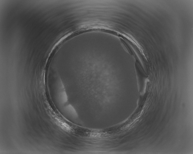 X0000084570790200702231258