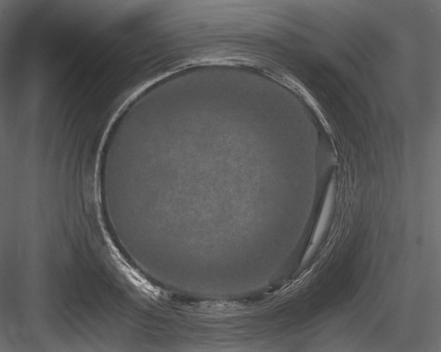 X0000084570795200702231258