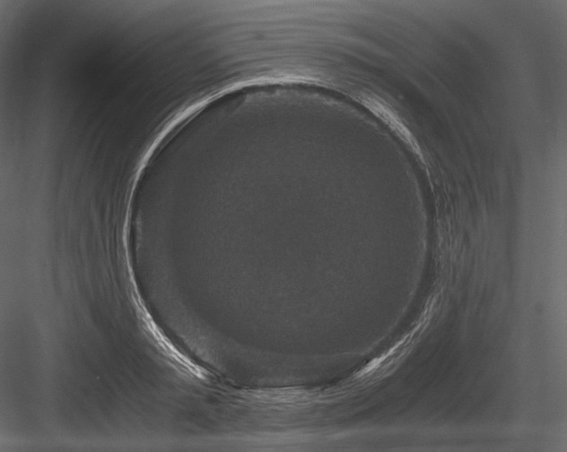 X0000084570797200702231257
