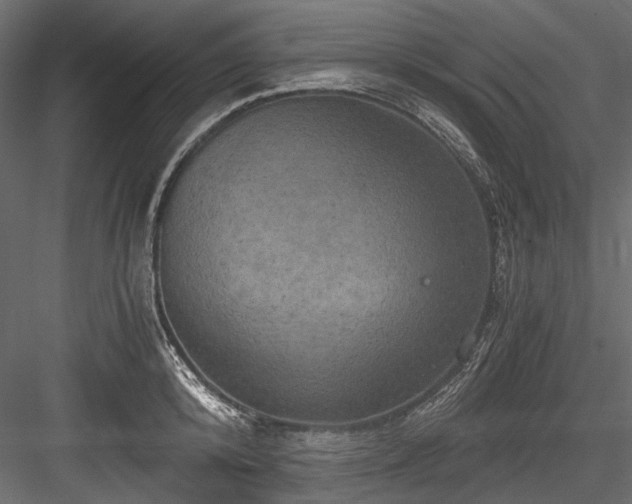 X0000084570800200702231257
