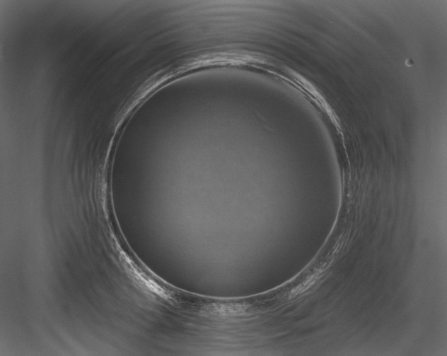 X0000084570802200702231257
