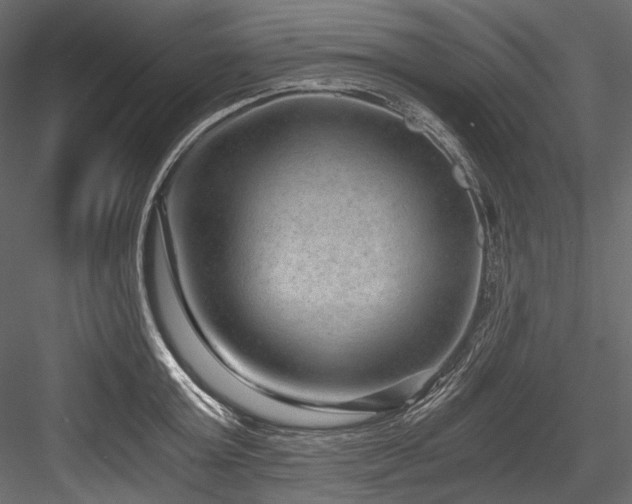 X0000084570803200702231257
