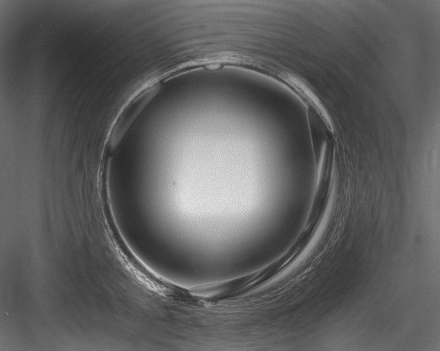 X0000084570805200702231257
