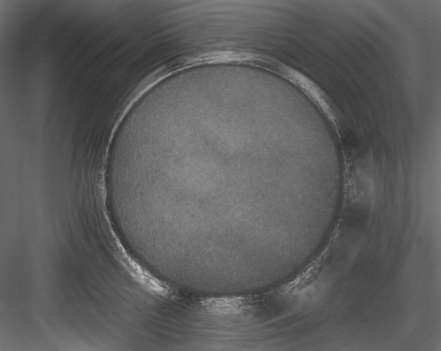 X0000084570810200702231257