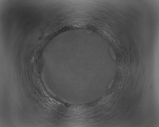 X0000084570817200702231256