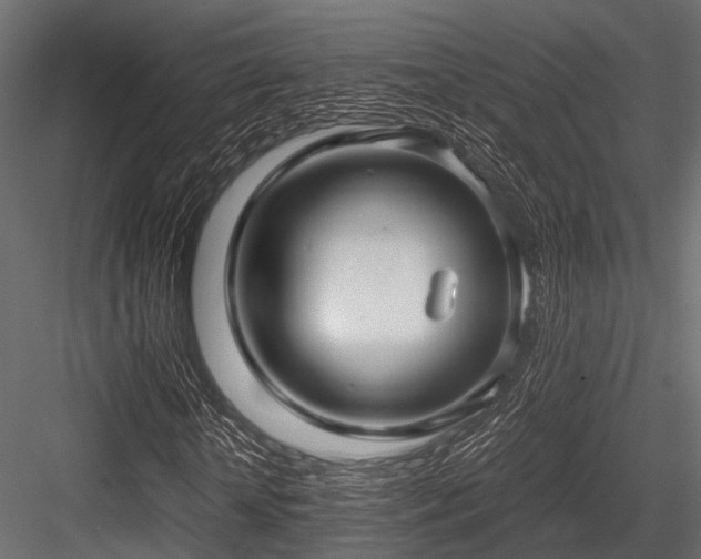 X0000084570818200702231256