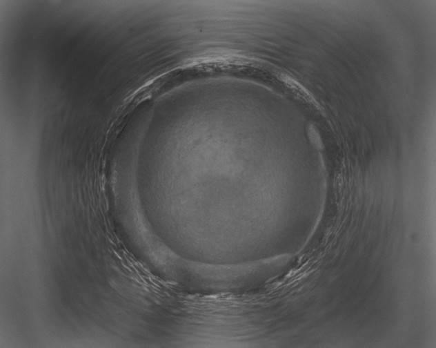 X0000084570822200702231256
