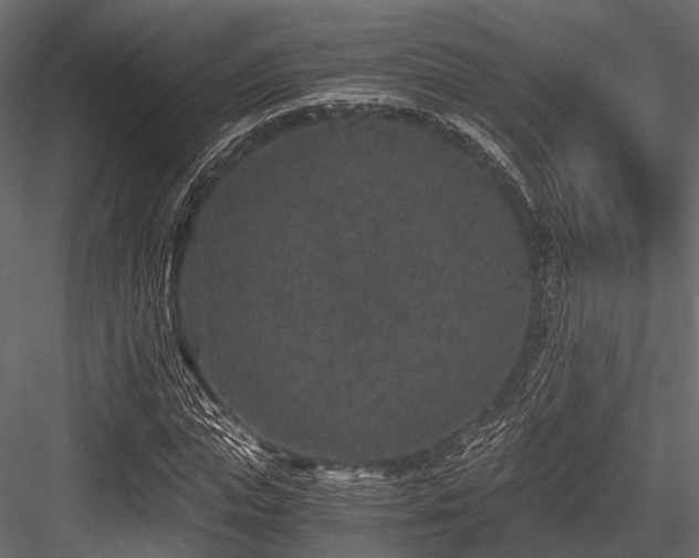 X0000084570823200702231256