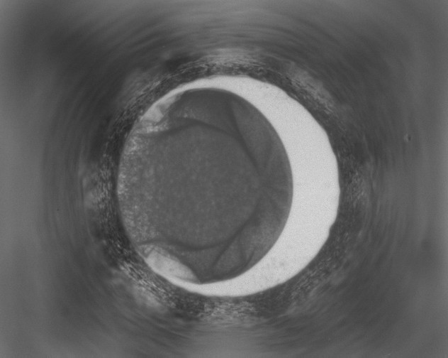 X0000084570824200702231256