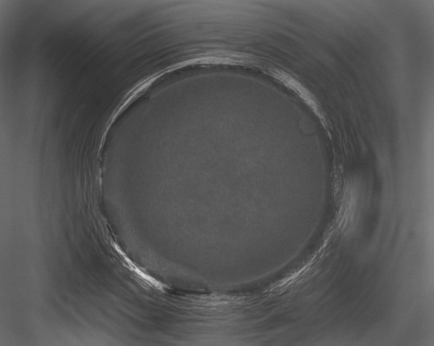 X0000084570829200702231257