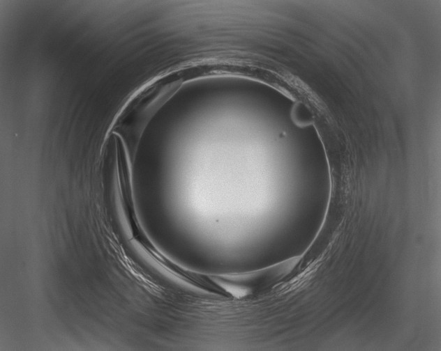 X0000084570830200702231257